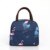 Portable Cooler Bag Ice Pack Lunch Box Insulation Package Insulated Thermal Food Picnic Bags Pouch For Women Girl Kids Children 11