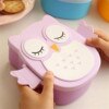 Cartoon Owl Lunch Box Portable Japanese Bento Meal Boxes Lunch Box Storage for Kids School Outdoor Thermos for Food Picnic Set 1