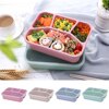 Neat Wheat Straw Lunch Box Food Container Transparent Box Heat-resistant Leak Proof Dinnerware Fruits Case School Office 1
