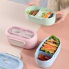 Lunch Box Microwave Leakproof Wheat Straw Office Dinnerware Food Storage Container Children Kids School Portable Bento Box Bag 1